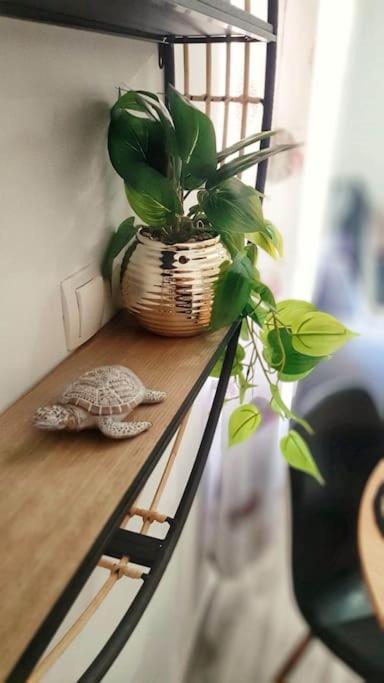 Apartman Lammi Split Eksteriør billede